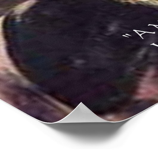 Darwin "Value of Life" Weisheit-Zitat-Poster Poster (Ecke)