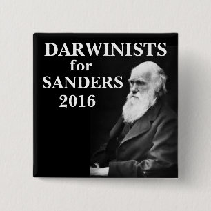 Darwinists für Sandpapierschleifmaschinen Button
