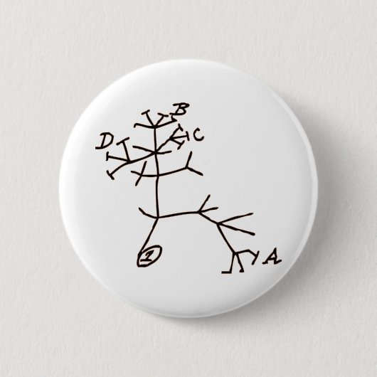 Darwins Baum Button (Vorderseite)