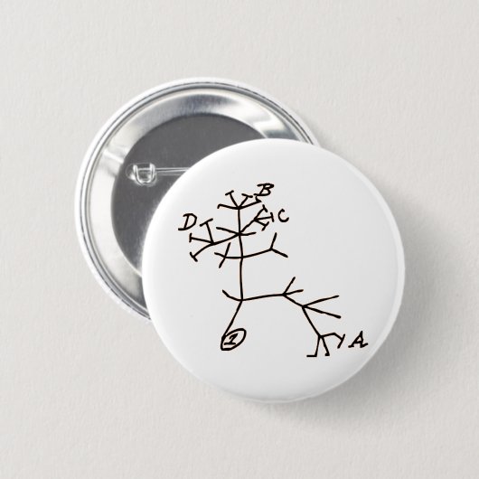 Darwins Baum Button (Vorne & Hinten)