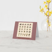 Darwins geliebte Barnacles Karte (Gelbe Blume)