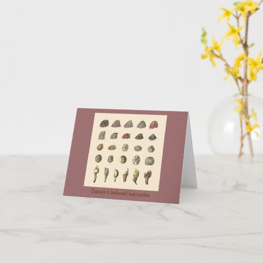 Darwins geliebte Barnacles Karte (Gelbe Blume)