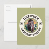 Darwins hellste Theorie Wooly Mammoth Postkarte (Vorne/Hinten)