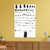 Darwins Insektensammlung Leinwanddruck (Insitu (Wohnzimmer))
