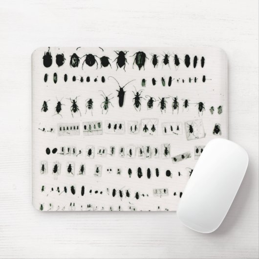Darwins Insektensammlung Mousepad (Mit Mouse)
