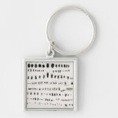 Darwins Insektensammlung Schlüsselanhänger (Vorne)