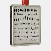Darwins Insektensammlung Silbernes Ornament (Rechts)