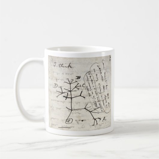 darwin's notebook kaffeetasse (Links)
