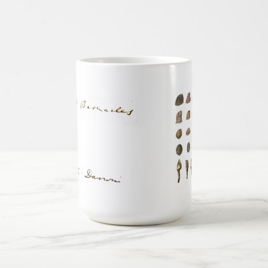 Darwins Rankenfußkrebs-Tasse (weiß) Kaffeetasse (Mittel)