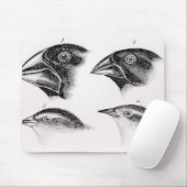 Darwins Vogelbeobachtungen Mousepad (Mit Mouse)