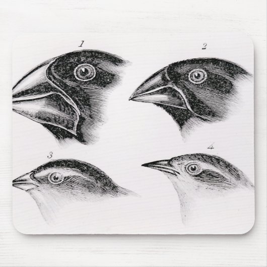Darwins Vogelbeobachtungen Mousepad (Vorne)