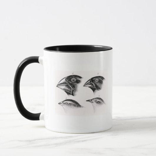 Darwins Vogelbeobachtungen Tasse (Links)