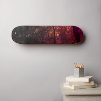 Das 13. Skultboard. Skateboard