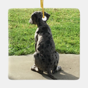 Das 1. X-Mas des großen Dänen Keramikornament