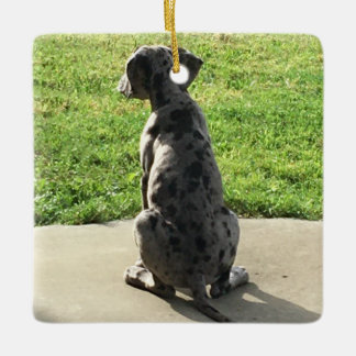 Das 1. X-Mas des großen Dänen Keramikornament