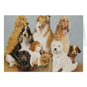 Das Abendessen der Hunde