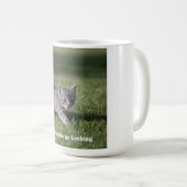 Das Abenteuer erwartet die Katzenwelt-Tasse Kaffeetasse (VorderseiteRechts)