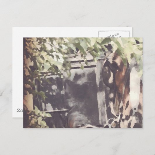 Das abscheuliche Pferd Postkarte (Vorne/Hinten)