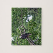Das Adlerpuzzle - 8 x 10 - 110 Stk. Puzzle (Vertikal)