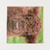 Das Adorable Highland Calf Wandteppich (Vorderseite (Horizontal))