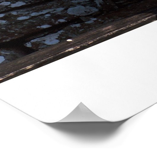 Das Akkordeon-Spieler-Poster Poster (Ecke)