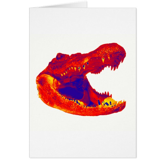 DAS ALLIGATORgebiet (Vorne)