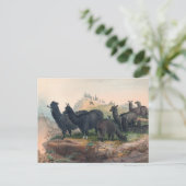 Das Alpaka von Joseph Wolf Postkarte (Stehend Vorderseite)