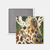 Das alte Bachelor Giraffe Magnet (Vorderseite/Rückseite)