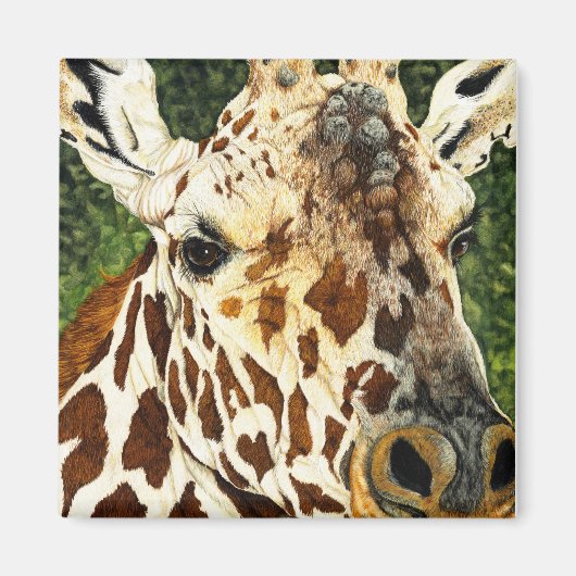 Das alte Bachelor Giraffe Magnet (Vorne)