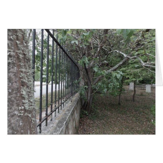 Das alte Burggelände (Vorderseite (Horizontal))