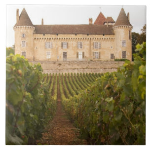 Das alte mittelalterliche Schloss von Rully am Mee Fliese