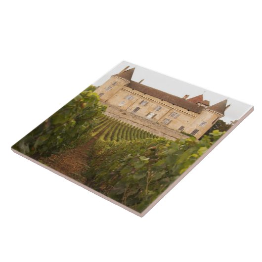 Das alte mittelalterliche Schloss von Rully am Mee Fliese (Seite)