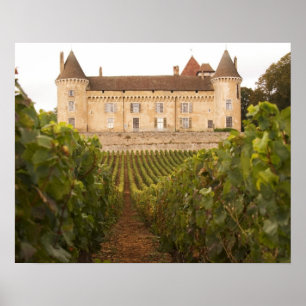 Das alte mittelalterliche Schloss von Rully im Grü Poster