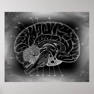 DAS ALTE MYSTERIÖSE GEHIRN POSTER