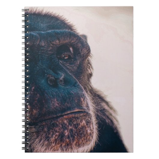 DAS ÄLTESTE CHIMPANZEI NOTIZBLOCK (Vorderseite)