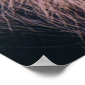 DAS ÄLTESTE CHIMPANZEI POSTER (Ecke)