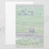 Das amerikanische Bison Briefpapier (Vorne/Hinten)