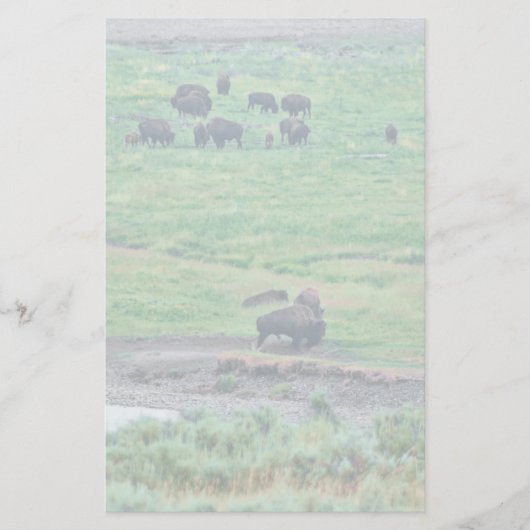 Das amerikanische Bison Briefpapier (Vorderseite)
