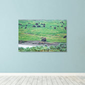 Das amerikanische Bison Leinwanddruck (Insitu (Holzboden))