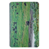 Das amerikanische Bison Magnet (Vertikal)