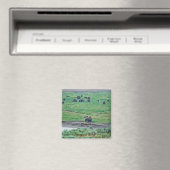 Das amerikanische Bison Magnet (In Situ (Geschirrspüler))