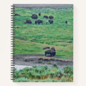 Das amerikanische Bison Notizblock (Vorderseite)