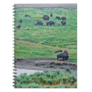 Das amerikanische Bison Notizblock