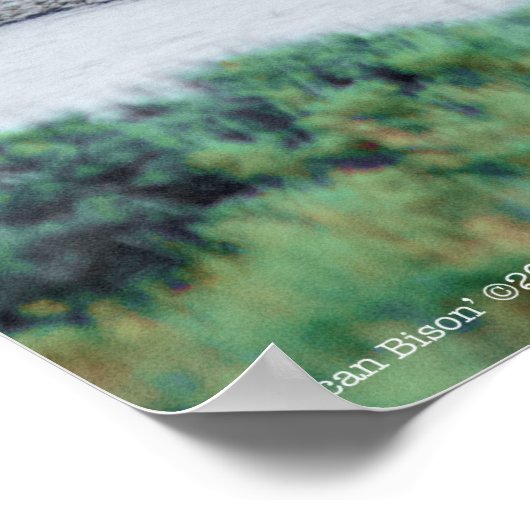 Das amerikanische Bison Poster (Ecke)