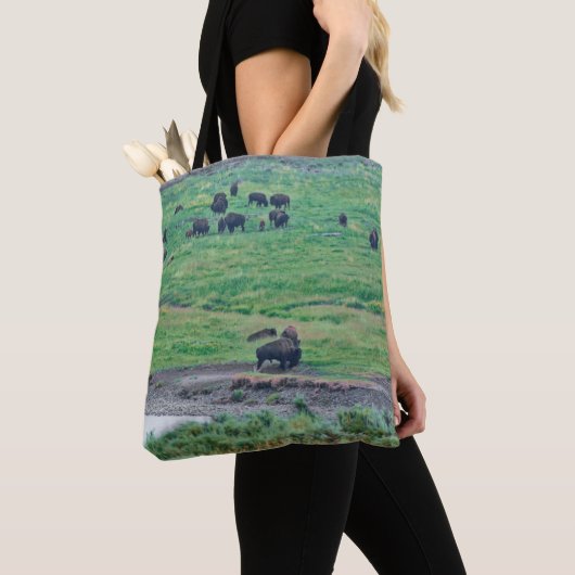 Das amerikanische Bison Tasche (Von Nahem)