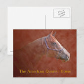 Das amerikanische Quarterpferd Postkarte (Vorne/Hinten)