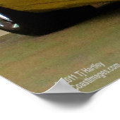 DAS AMERIKANISCHE SPORTAUTO: CORVETTE POSTER (Ecke)