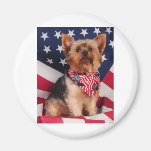 Das amerikanische Yorkie Magnet