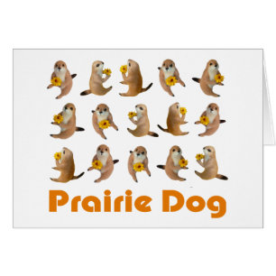 das angefüllte Spielzeug des Präriehunds