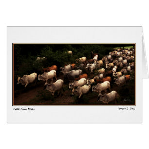 Das Antriebs-Zuhause, Mexiko